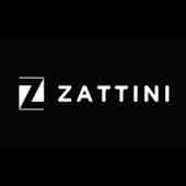 Zattini